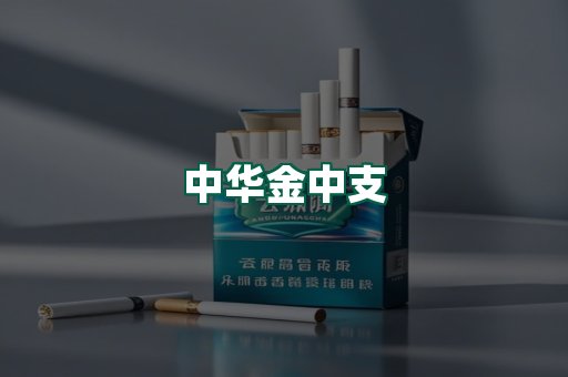 中华金中支